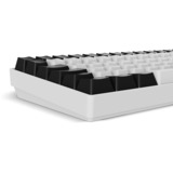 Sharkoon Gaming-tastatur Hvid, DE-layout, Gateron Brown