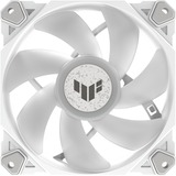 ASUS Sag fan Hvid