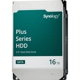 Synology Harddisk 