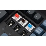 Keychron Gaming-tastatur Sort/Blå-grå, DE-layout, Keychron K Pro Brown