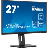 iiyama LED-skærm Sort (mat)