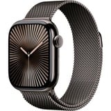 Apple SmartWatch Skifer