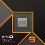 AMD Processor boxed