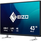 EIZO LED-skærm Sort