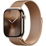 Apple SmartWatch Guld