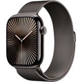 Apple SmartWatch Skifer