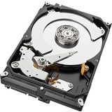 Seagate Barracuda ST4000DM004 harddisk 3.5" 4000 GB Serial ATA III 3.5", 4000 GB, 5400 rpm