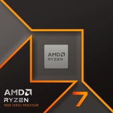 AMD Processor boxed