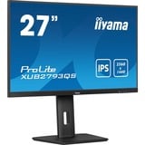 iiyama LED-skærm Sort (mat)