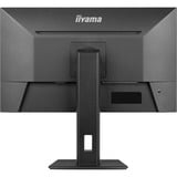 iiyama LED-skærm Sort (mat)