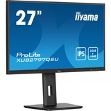 iiyama LED-skærm Sort (mat)