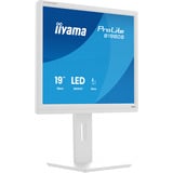 iiyama LED-skærm hvid (mat)