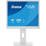 iiyama LED-skærm hvid (mat)