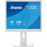 iiyama LED-skærm hvid (mat)