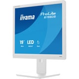 iiyama LED-skærm hvid (mat)