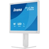 iiyama LED-skærm hvid (mat)