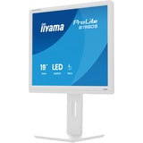 iiyama LED-skærm hvid (mat)