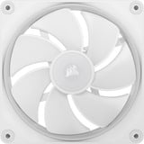 Corsair Sag fan Hvid