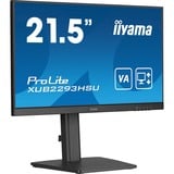 iiyama LED-skærm Sort (mat)