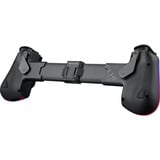 ASUS Gamepad Sort