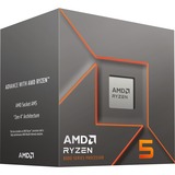 AMD Processor boxed