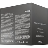 AMD Processor boxed