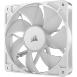 Corsair Sag fan Hvid