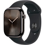 Apple SmartWatch Skifer