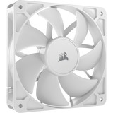 Corsair Sag fan Hvid