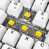 Sharkoon Gaming-tastatur Hvid, DE-layout, Gateron G Pro 3.0 Yellow