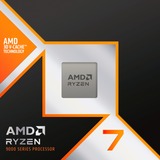 AMD Processor boxed