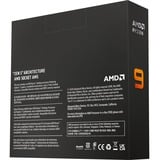 AMD Processor boxed