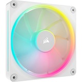 Corsair Sag fan Hvid