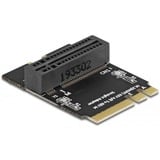 DeLOCK Interface card 