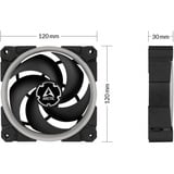 ARCTIC Sag fan Sort