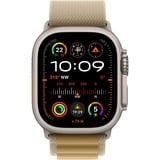 Apple SmartWatch Titanium