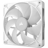 Corsair Sag fan Hvid