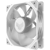 ASUS Sag fan Hvid/gennemsigtig