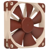 Noctua Sag fan lys brun