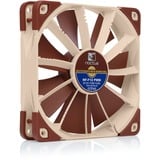 Noctua Sag fan lys brun