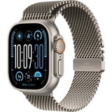 Apple SmartWatch Titanium