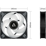 Arctic Sag fan Sort