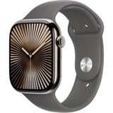 Apple SmartWatch Skifer