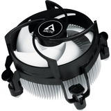 ARCTIC CPU køler Sort/Hvid