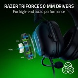 Razer Gaming headset Sort