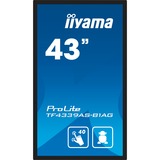 iiyama Offentlig visning Sort (mat)