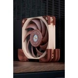 Noctua Tætning Brown