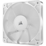 Corsair Sag fan Hvid