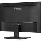 iiyama LED-skærm Sort (mat)