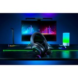 Razer Gaming headset Sort